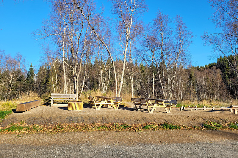 Heia. Foto: Tore Veisetaune Benker på Heia